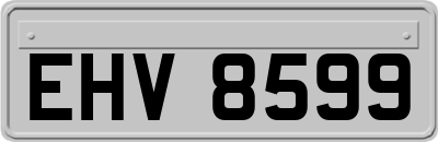 EHV8599