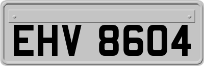 EHV8604