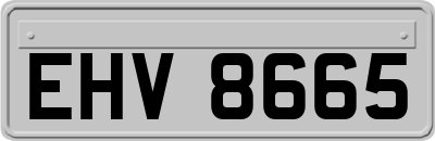 EHV8665
