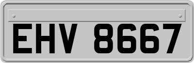 EHV8667