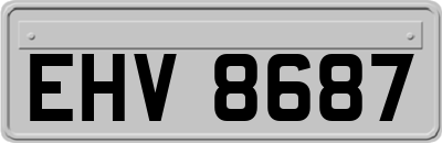 EHV8687