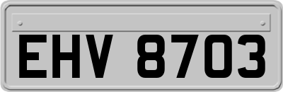 EHV8703