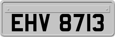 EHV8713