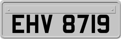 EHV8719