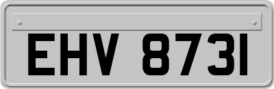 EHV8731