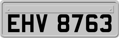 EHV8763