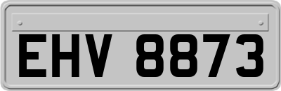 EHV8873