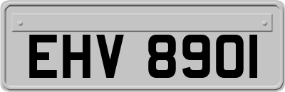 EHV8901