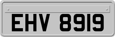 EHV8919