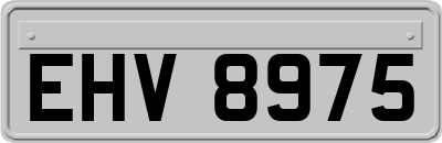 EHV8975