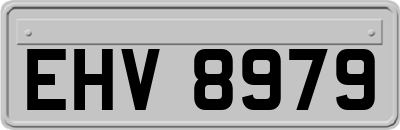 EHV8979