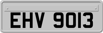 EHV9013