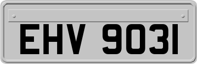 EHV9031
