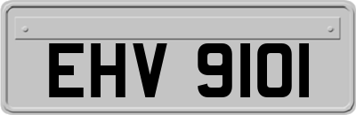 EHV9101