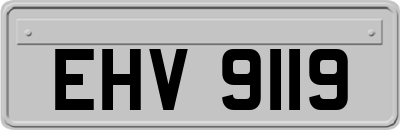 EHV9119