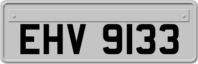 EHV9133