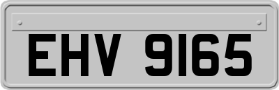 EHV9165