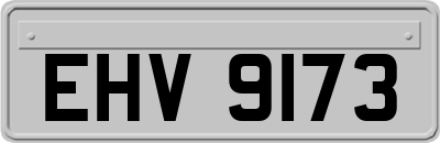 EHV9173