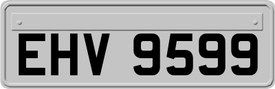 EHV9599