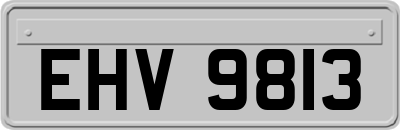 EHV9813