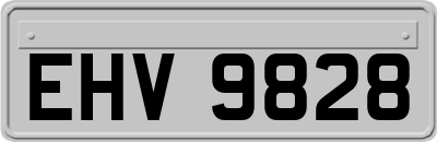 EHV9828