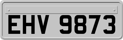 EHV9873