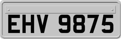 EHV9875