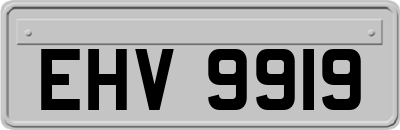 EHV9919