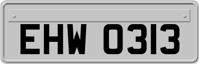 EHW0313