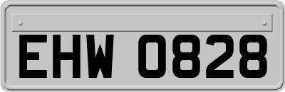 EHW0828