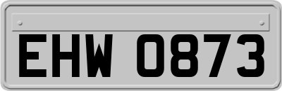 EHW0873