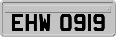 EHW0919