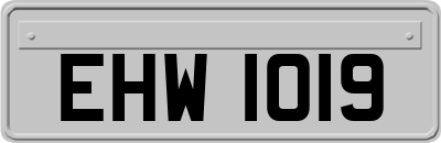 EHW1019