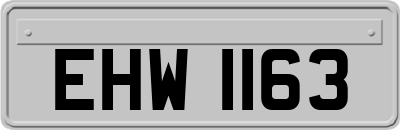 EHW1163