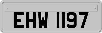 EHW1197