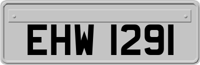 EHW1291