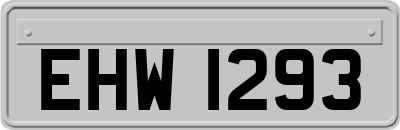 EHW1293