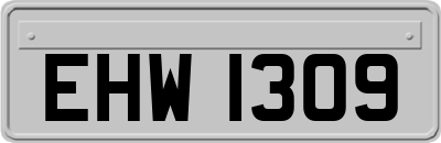 EHW1309