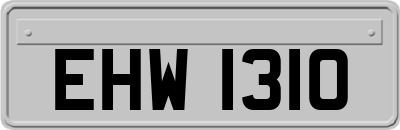 EHW1310