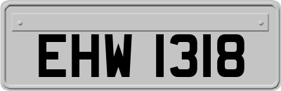 EHW1318