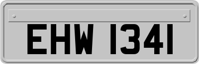 EHW1341