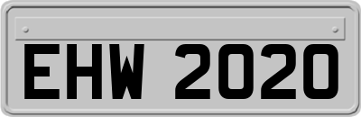 EHW2020