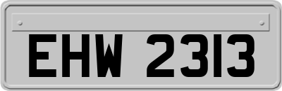 EHW2313