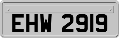 EHW2919