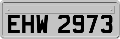EHW2973