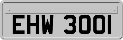 EHW3001