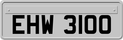 EHW3100