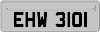 EHW3101