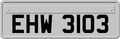 EHW3103