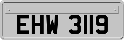 EHW3119